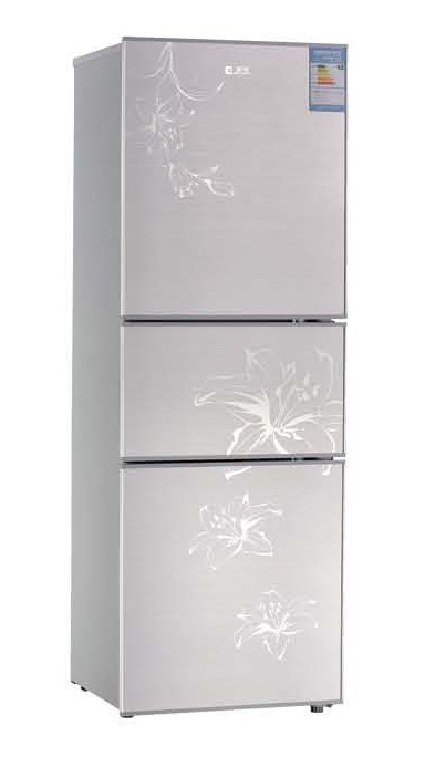 Bcd-219L Three Temperature International Household Refrigerator