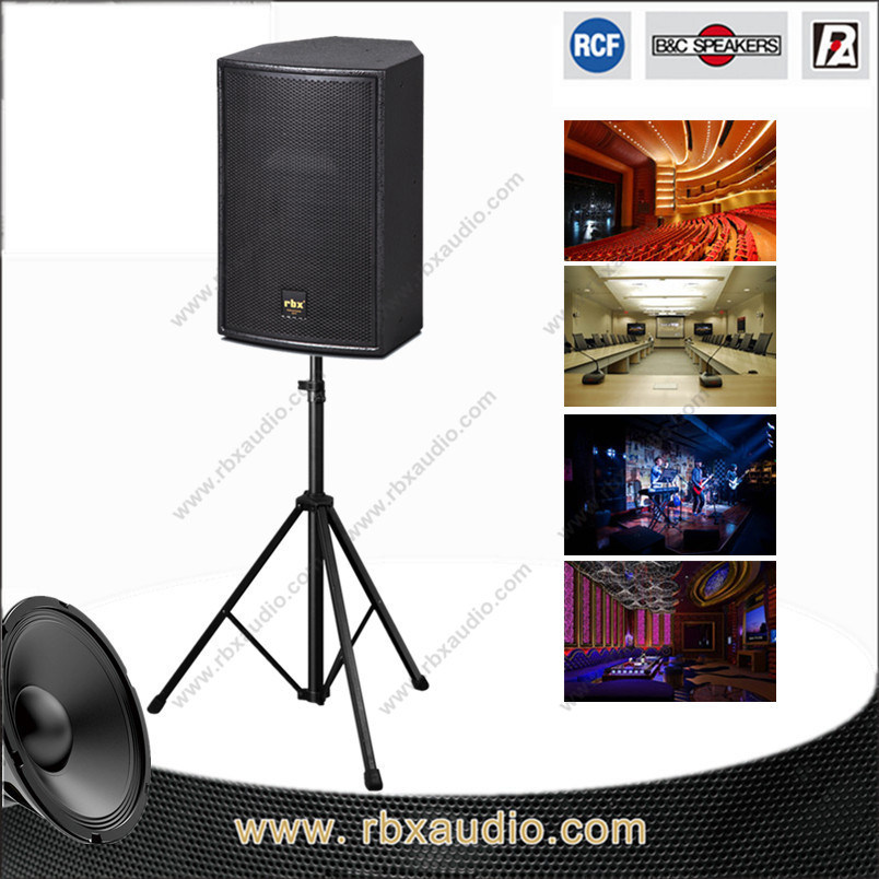 C-3110 Passive 8 Ohm 250W dB Audio Subwoofer