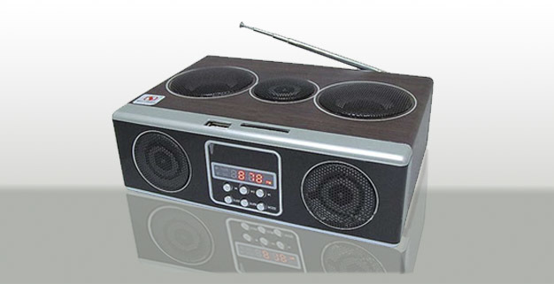 Wooden Mini Speaker with FM Function (LB-SU12)