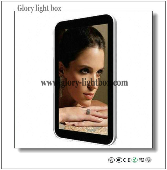 42''full HD Wall-Mounted 3G WiFi Kiosk Advertising Player