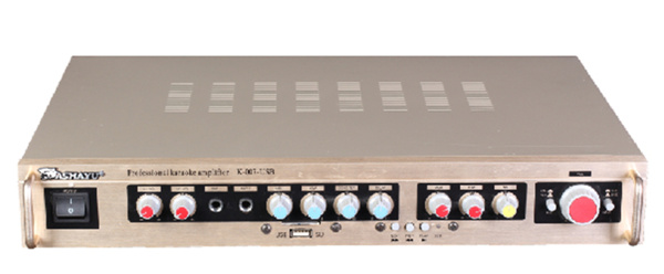 2.0 Power Digital Stereo Audio PRO Amplifier