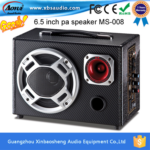 Single 8-Inch Portable Digital Speaker