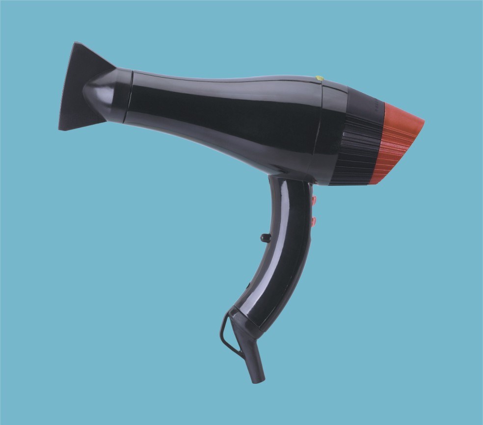 Professional Hair Dryer (1808-20)