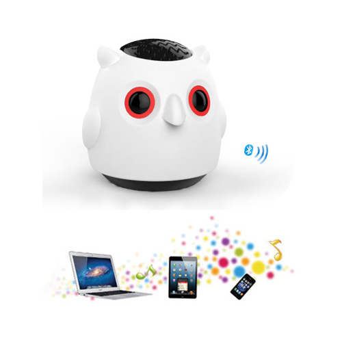 Wireless Bluetooth Speakers (BTSLJ09)