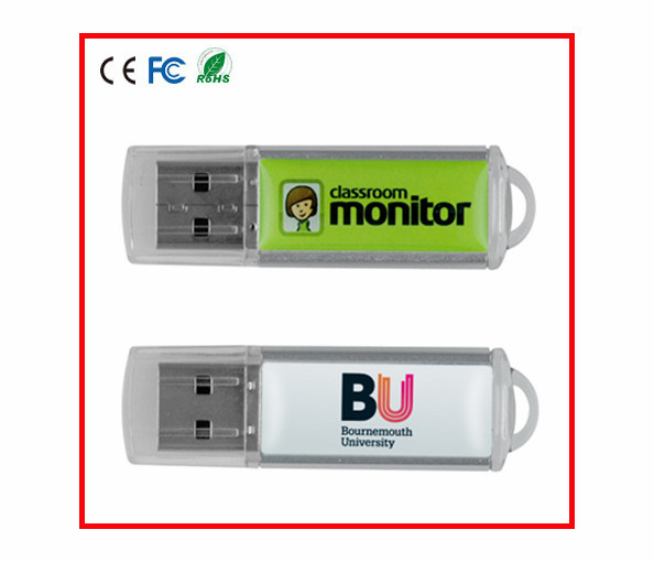 Epoxy Logo Plastic USB Flash Disk USB Pen Drive