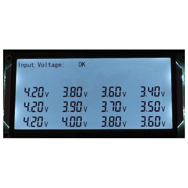 Segment LCD Display