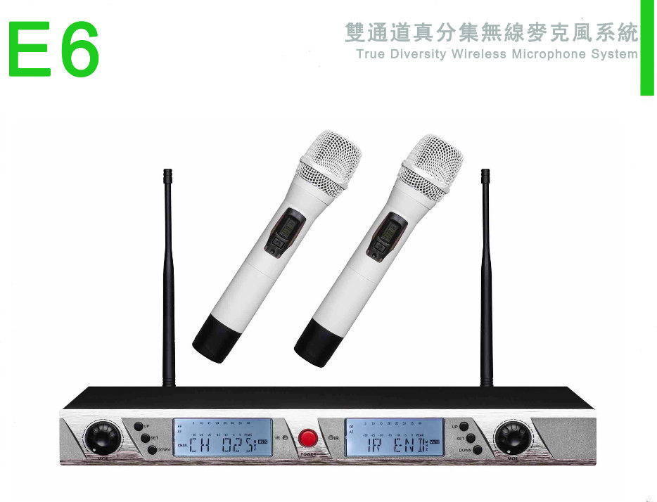 Professional Wireless Microphone