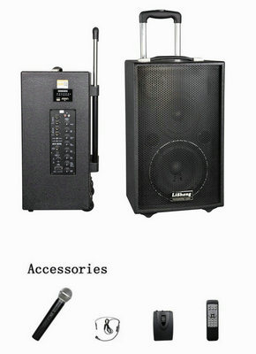 Professional Portable Wireless Amplifier