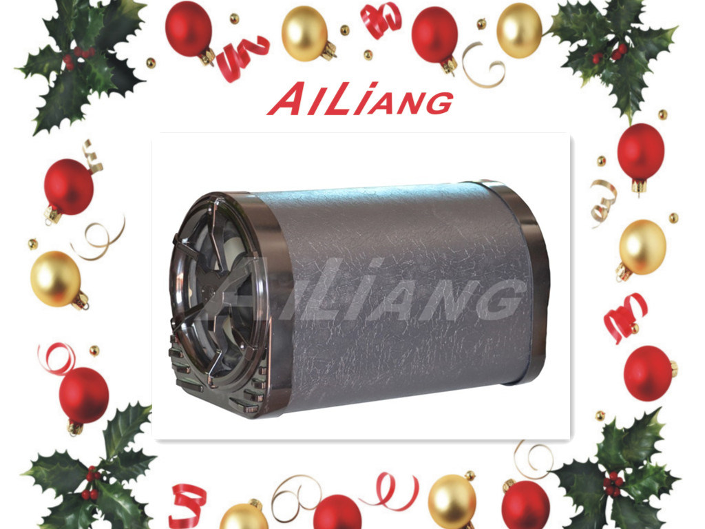 10 Inches Car Subwoofer Speaker Ailiang-1000A