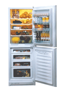 Refrigerator BCD-262/E