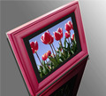 Digital Photo Frame F1043