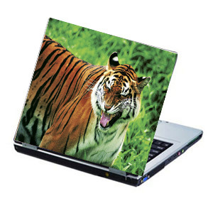 Laptop Skin - 1