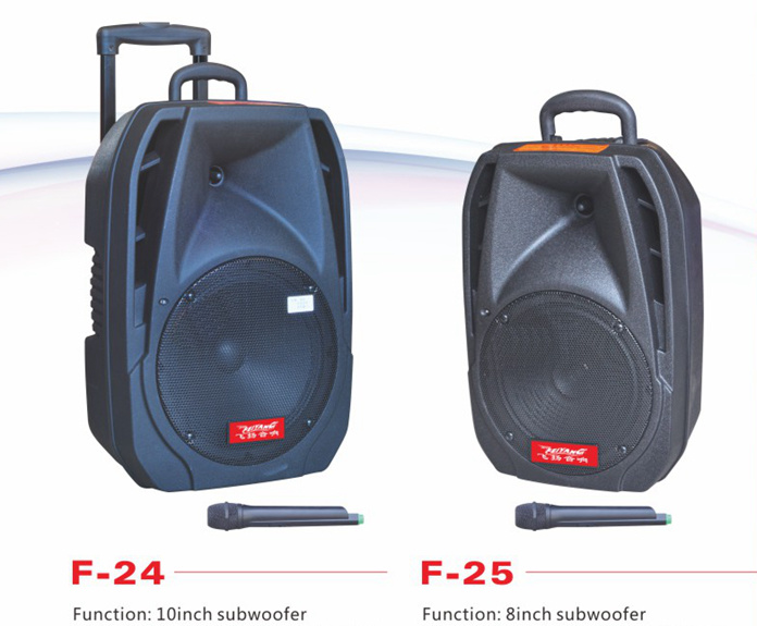 10 Inch Subwoofer Professional Speaker with Microphone F24