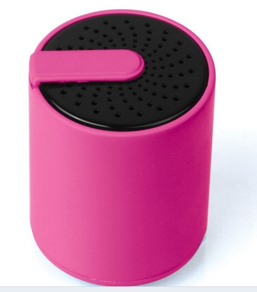 Portable Bluetooth Speaker