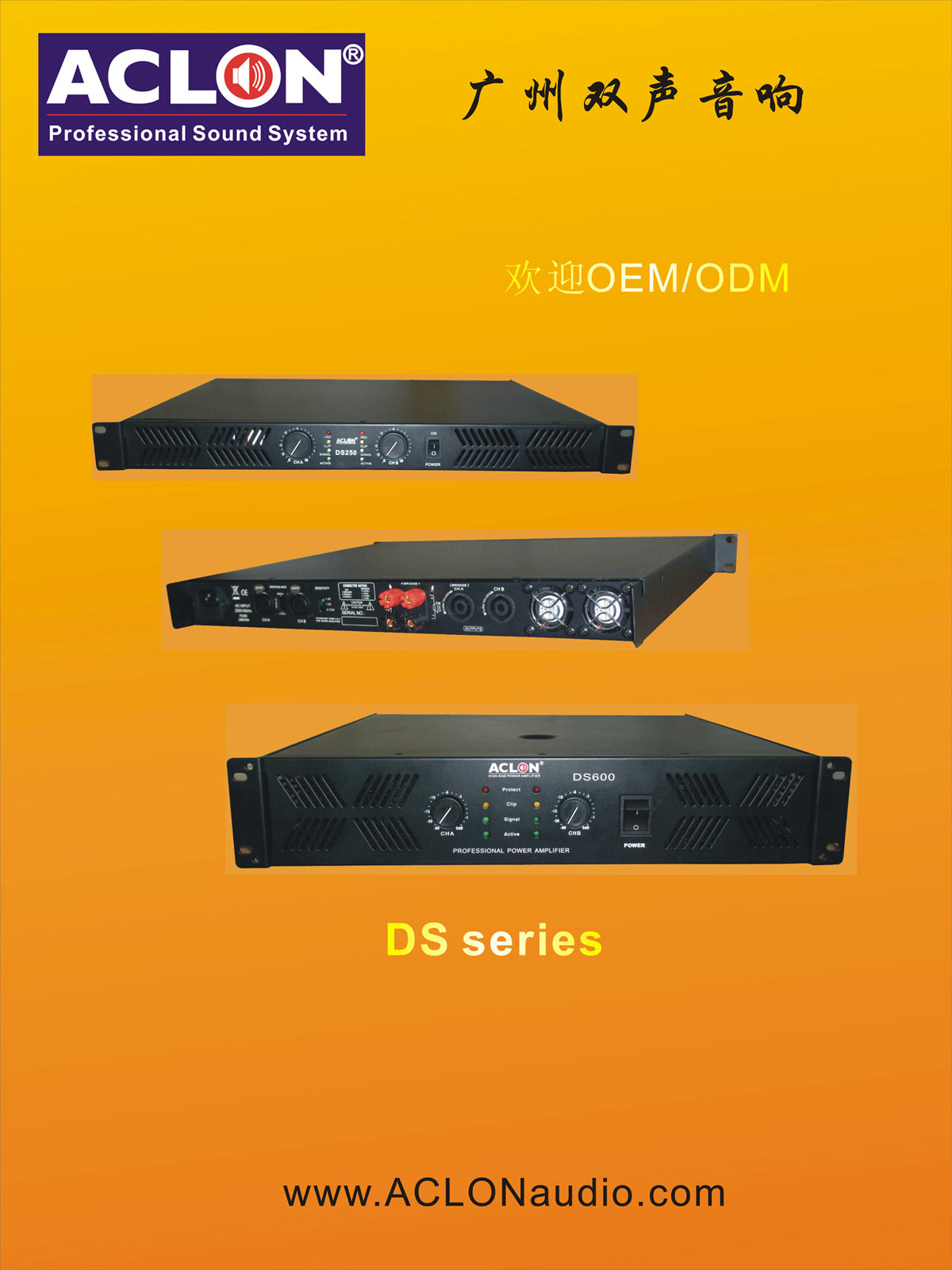 Stable Performance Small Watt Ds Series Power Amplifier (DS250)