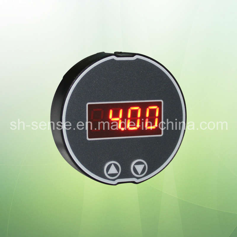 LED Display LEDD-02