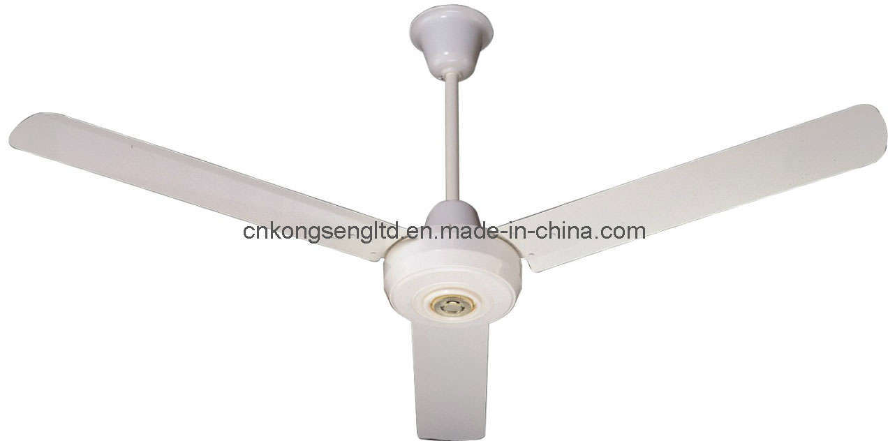 Home Ceiling Fan