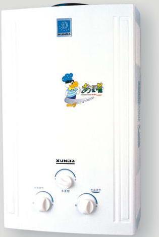 Gas Water Heater (JSD)