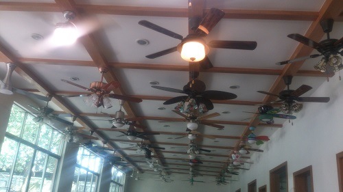 Ceiling Fan