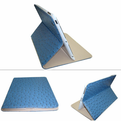 Case for iPad Ipa97