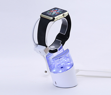 Wearable Security for Smart Watch