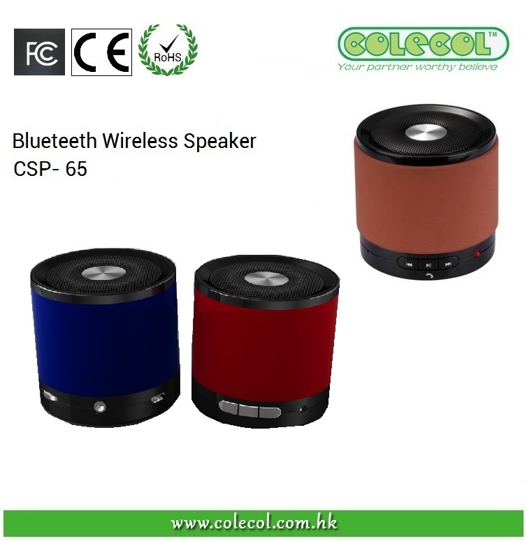 Blueteeth Wireless Speaker