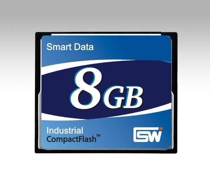 Compact Flash Memory Card (Smart 266)