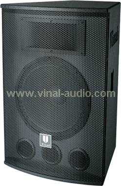 Professional Speaker (VS150)