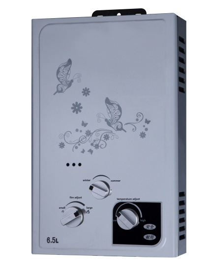 Gas Water Heater with Powder Coating Body and High Quality