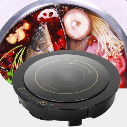 Viking Induction Range Portable Induction Hob