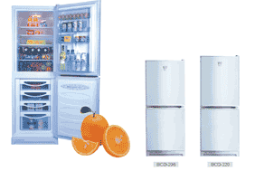 Refrigerator (BCD-220)