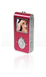 MP3 Player (M309)