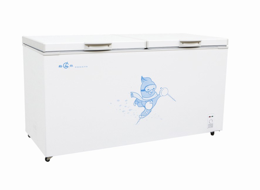 Freezer Bd/C-718