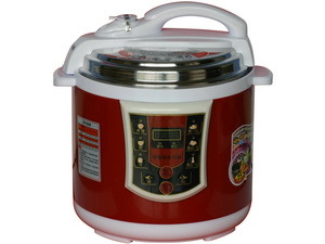 Electric Pressure Cooker (CR-30) 