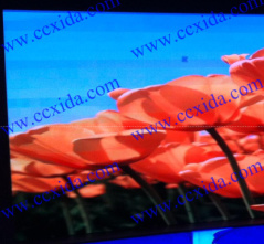 Cedar Uhd 1.875 Indoor LED Display