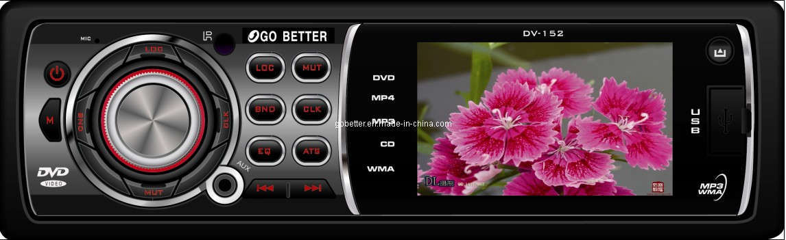 Car DVD Player (DV-160)