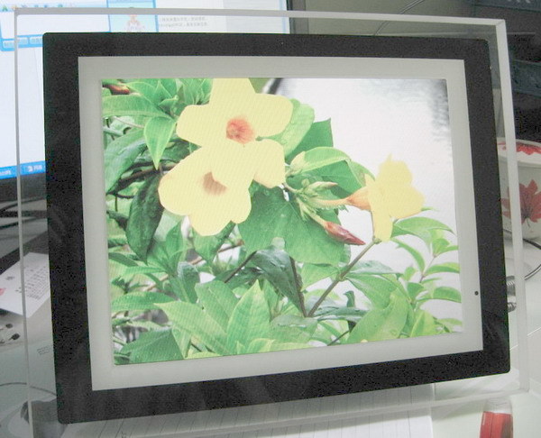 Digital Photo Frame (DP1042B)