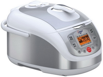 Electric Pressure Cooker (YBW-E)