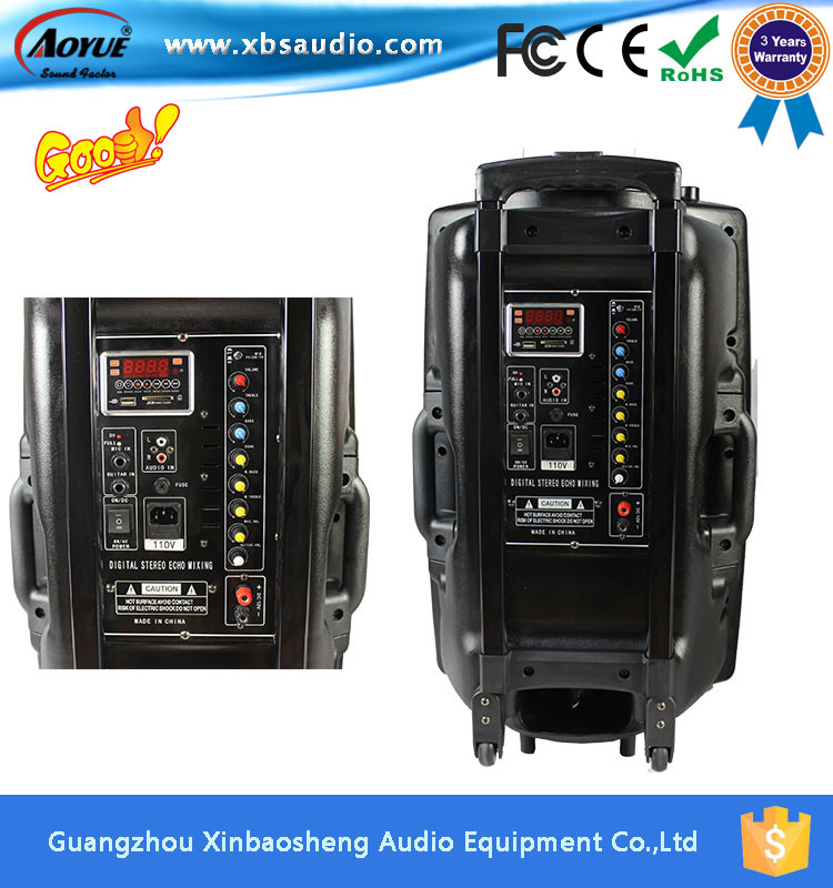 DC 12V External Power Supply Trolley Speaker with Battery