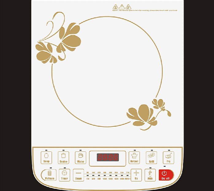 Induction Cooker