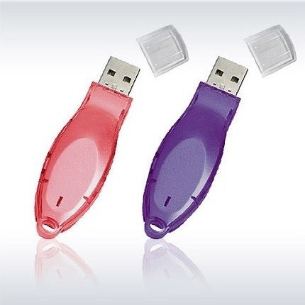 Plastic USB Flash Drive (NS-618)