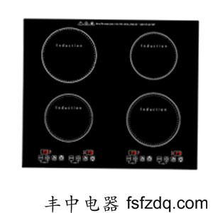 Induction Cooker