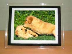 Digital Photo Frame(DPF3102)