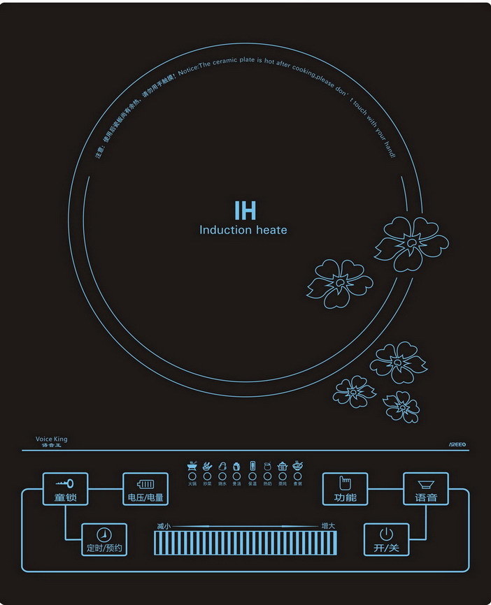 Induction Cooker B01