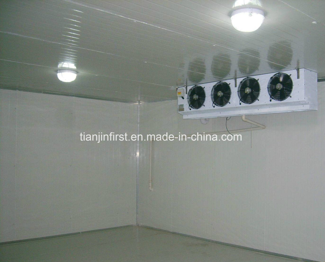 Cold Room Cold Storage Refrigerator Freezer/Meat