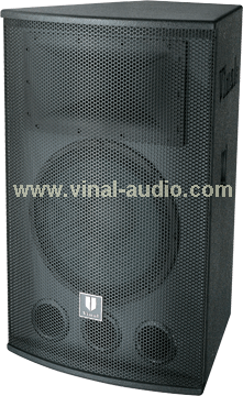 Professional Speaker (VS205)