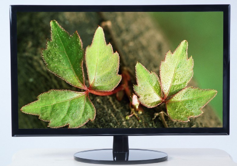 21.5 Inch LED Monitor Display (ST215W)