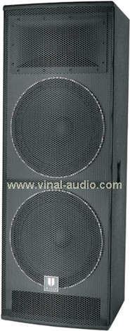 Professional Speaker (VS315)