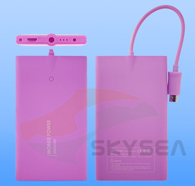 Power Bank (PWS102)