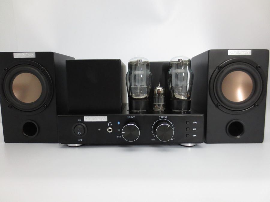 Vacuum Tube Amplifier with Bluetooth, with Speaker